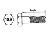 135 Metric 10.9
